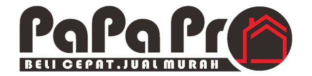 PaPaPro Logo